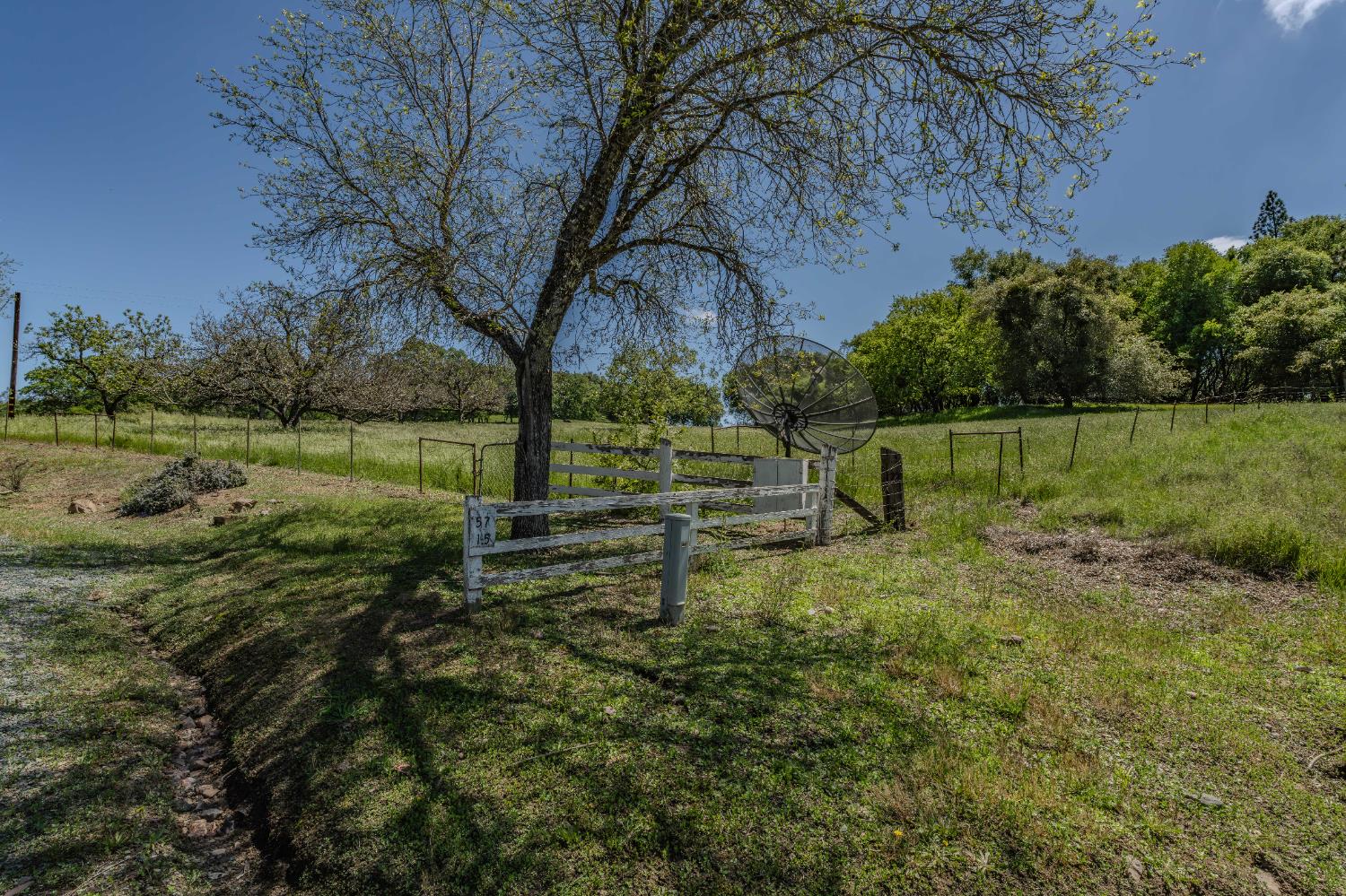 19160 American Flat Road Fiddletown, CA 95629 - Photo 45 of 66 View of acreage and walnut trees from house