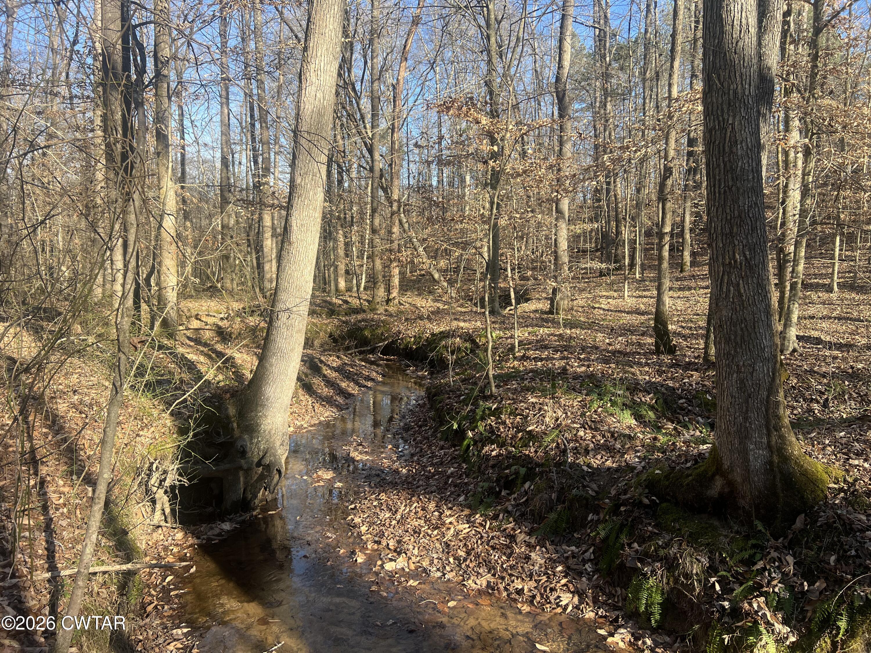 0 Excalibur Trail Cedar Grove, TN 38321 - Photo 11 of 17