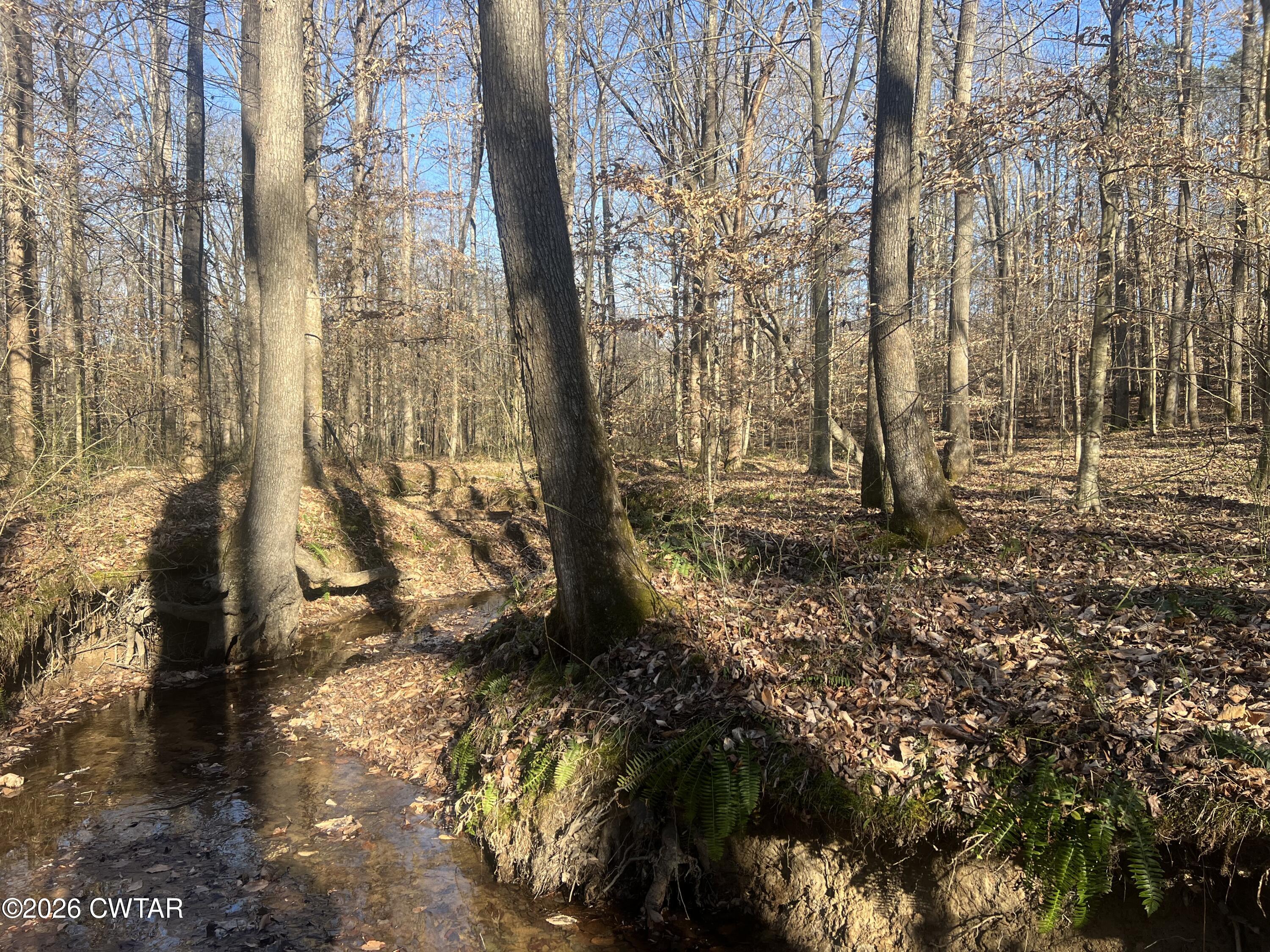 0 Excalibur Trail Cedar Grove, TN 38321 - Photo 13 of 17 a backyard of a house with lots of green space
