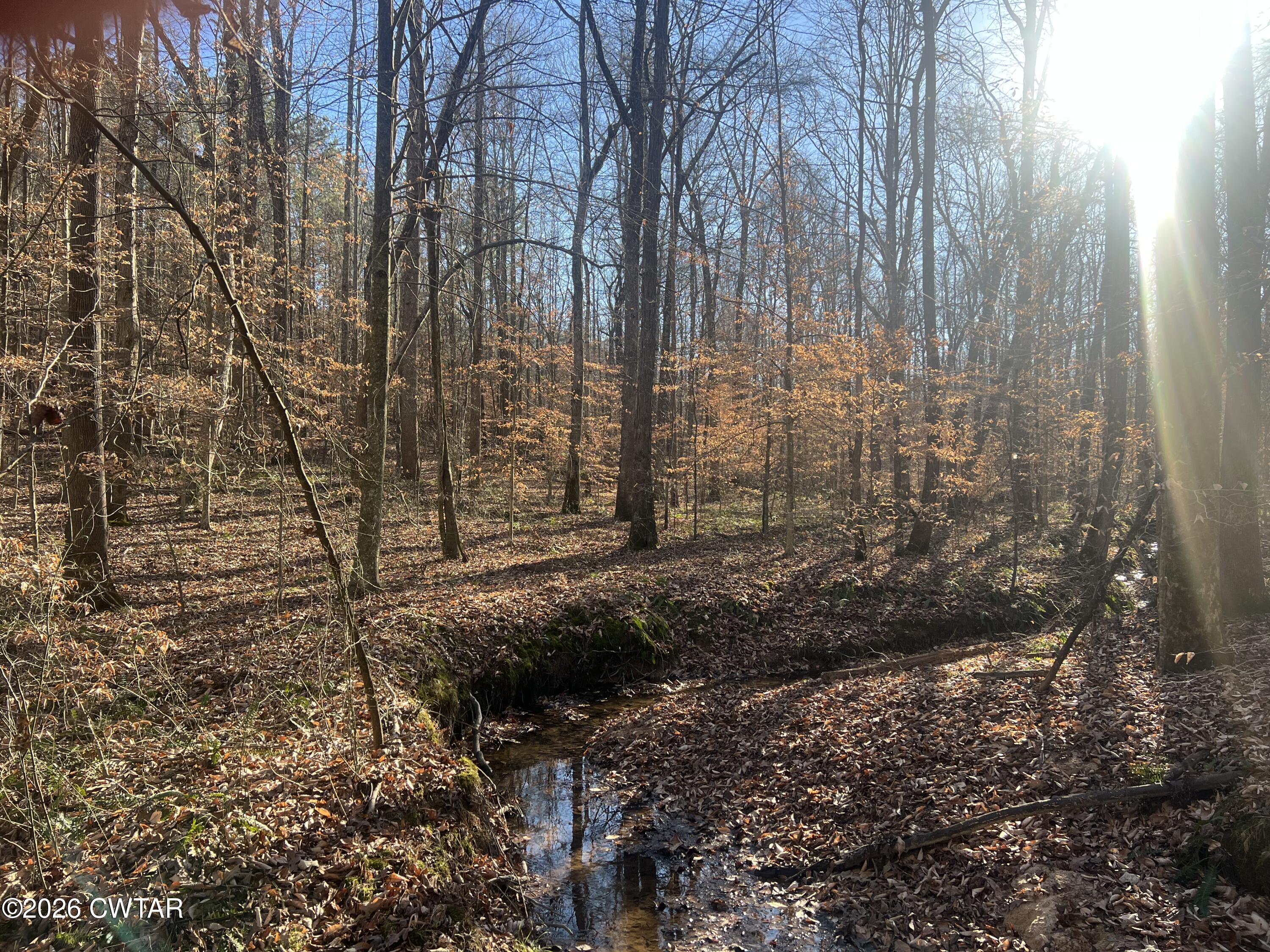 0 Excalibur Trail Cedar Grove, TN 38321 - Photo 14 of 17 a view of a backyard
