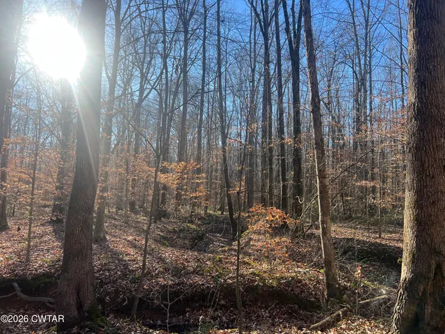 a view of a brick wall next to a building
