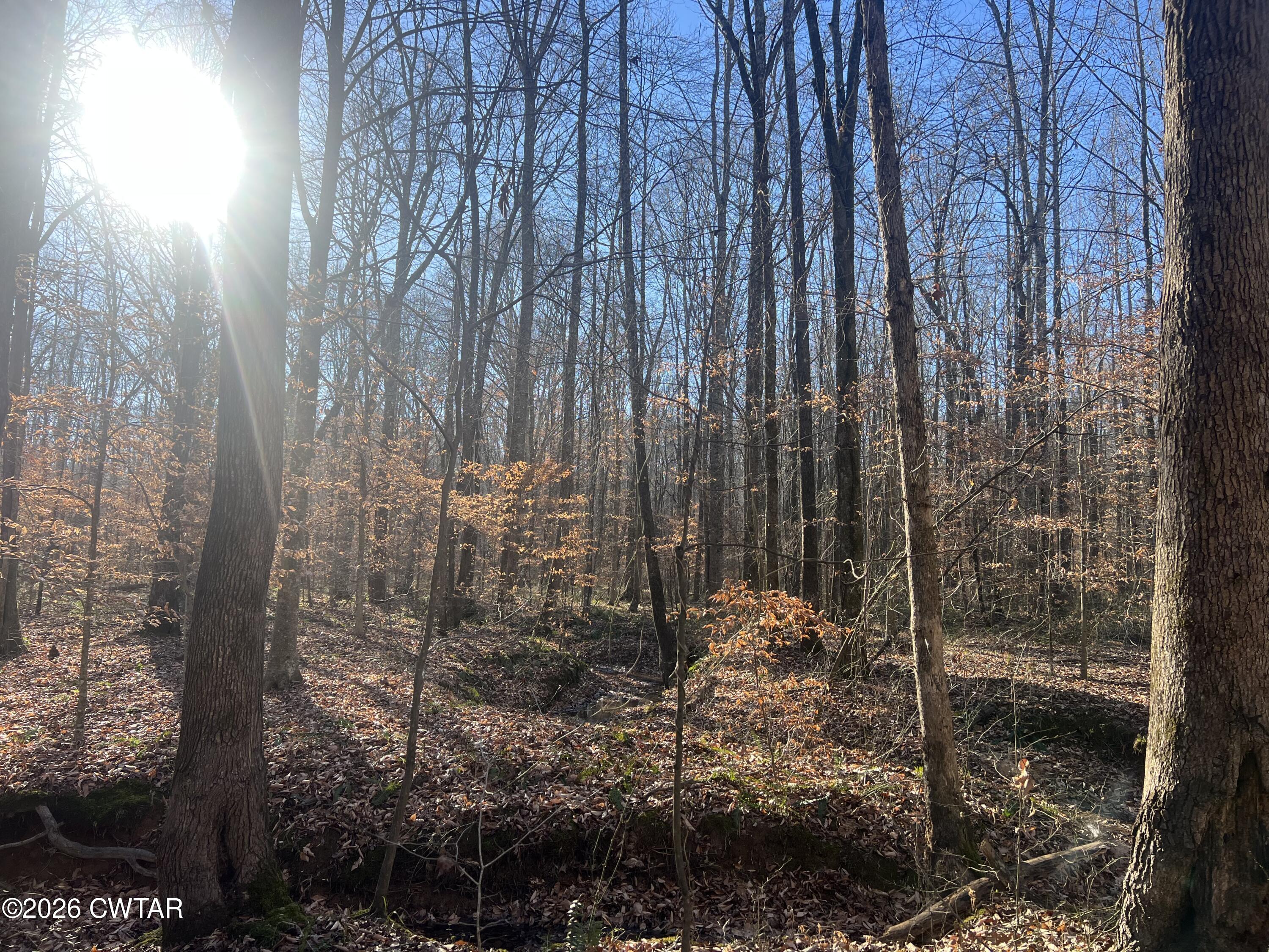 0 Excalibur Trail Cedar Grove, TN 38321 - Photo 15 of 17