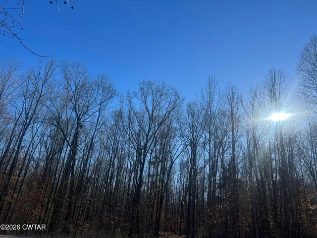 a view of a yard with a wooden fence