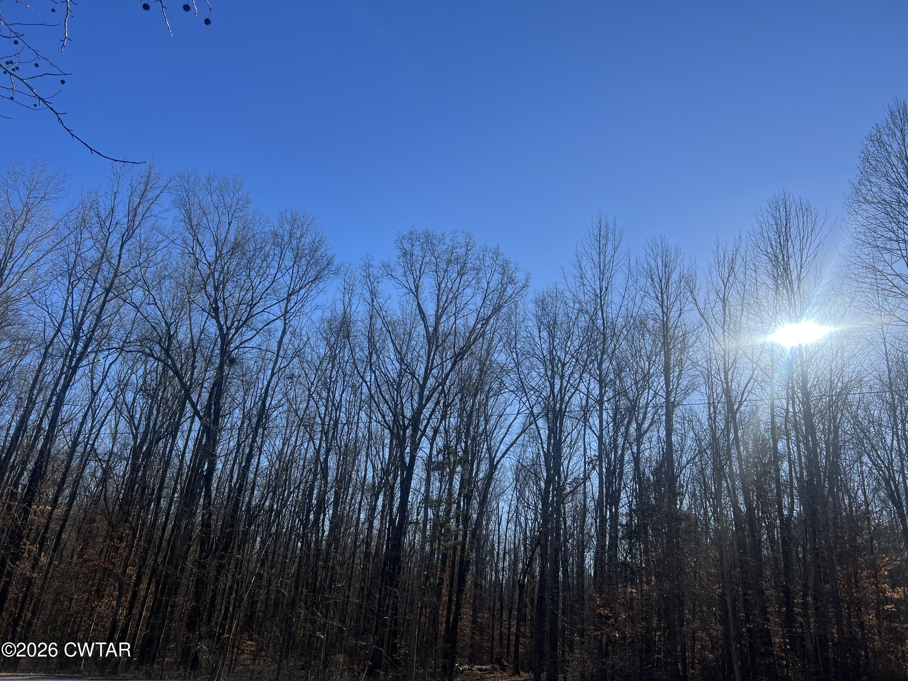 0 Excalibur Trail Cedar Grove, TN 38321 - Photo 2 of 17 a view of a yard with a wooden fence