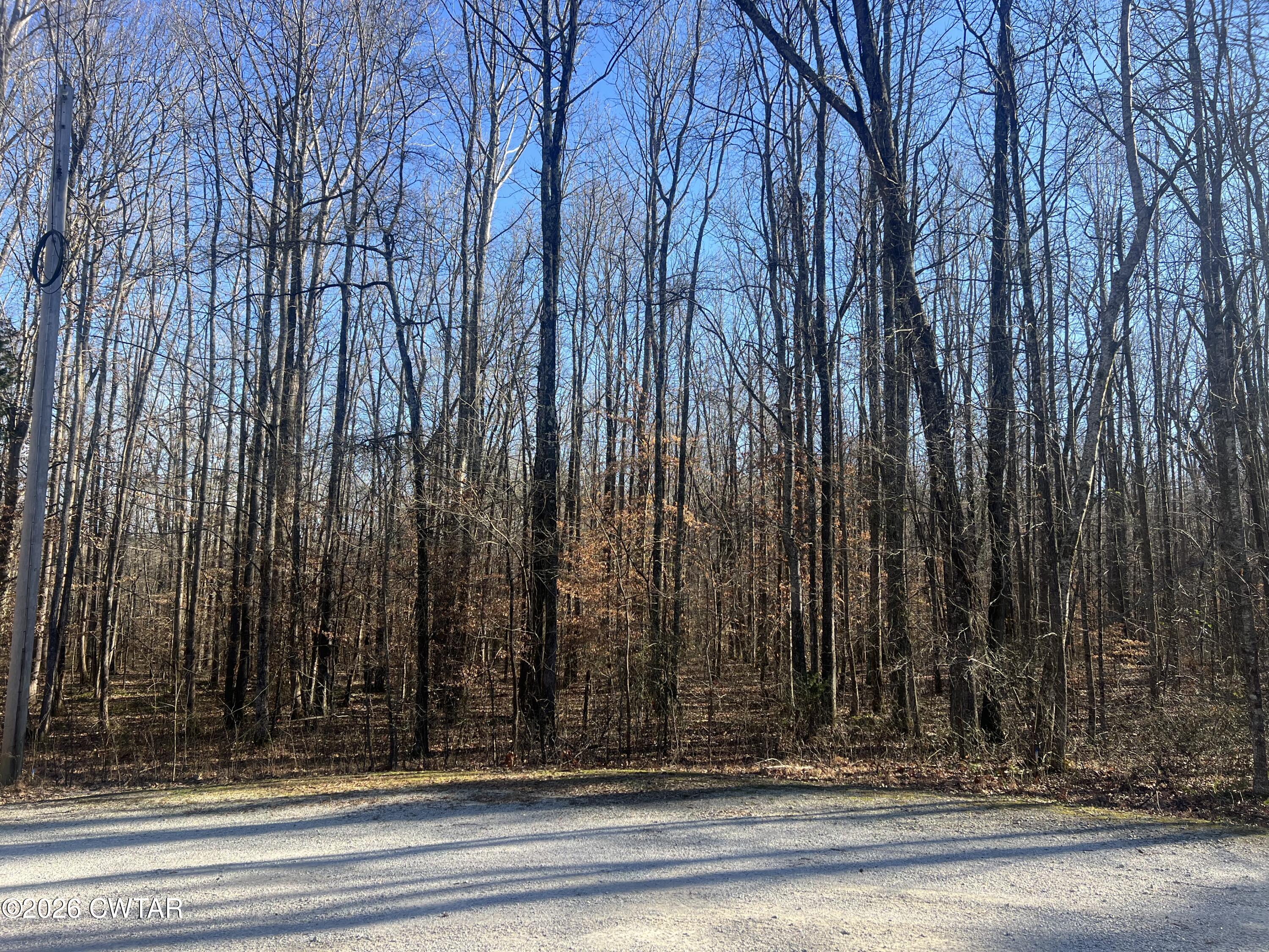 0 Excalibur Trail Cedar Grove, TN 38321 - Photo 4 of 17 a view of a entryway with a building