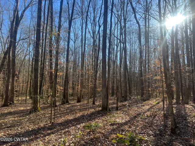 a view of a backyard with potted plants