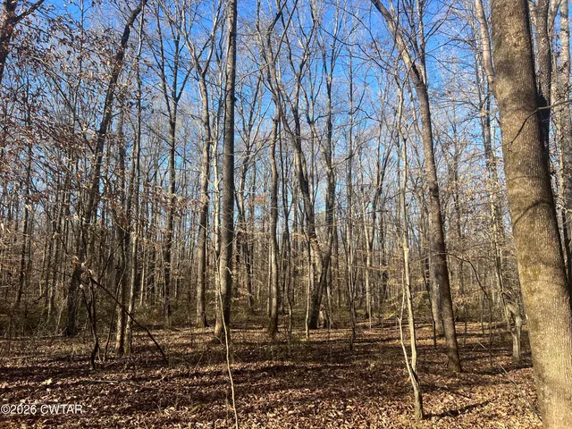 a view of a backyard with green space