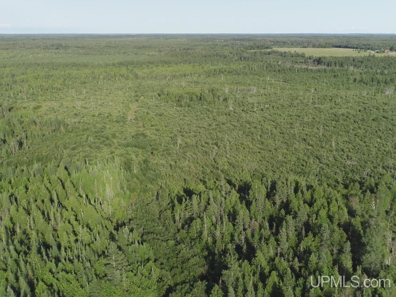 E 80-acres River Road Gulliver, MI 49840 - Photo 7 of 20