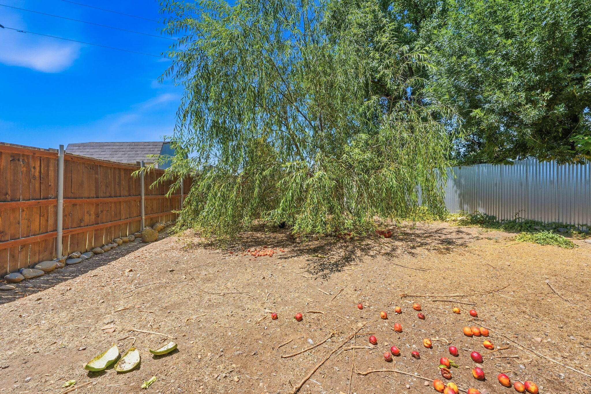 3678 Rabbit Lane Cottonwood, CA 96022 - Photo 15 of 16 Willow Tree/ Fenced Chicken Area