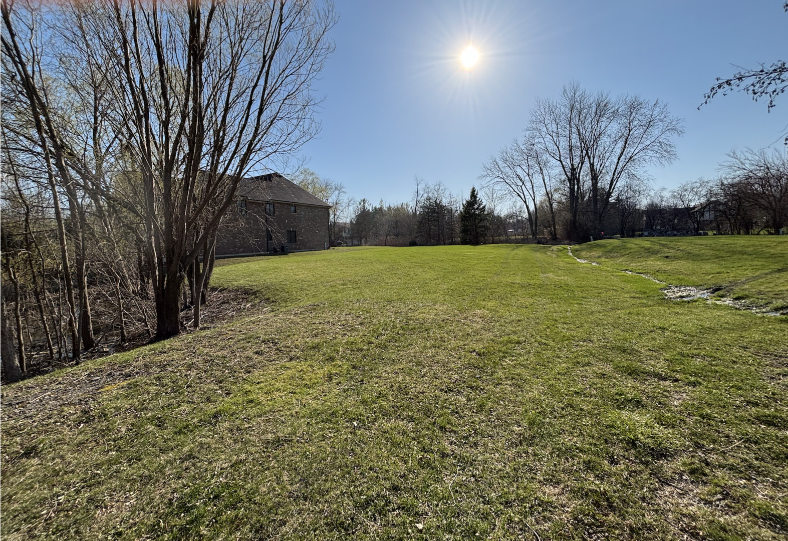 6540 Bentley Avenue Willowbrook, IL 60527 - Photo 1 of 8 a view of a yard with a tree