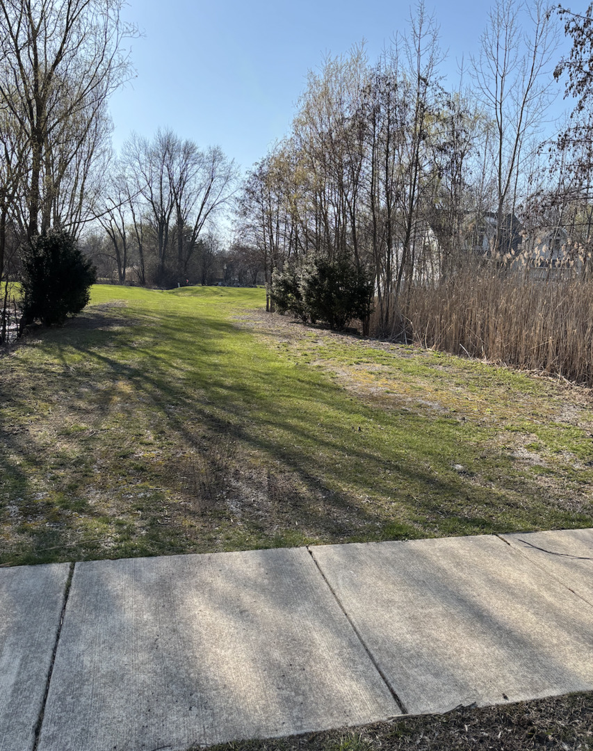 6540 Bentley Avenue Willowbrook, IL 60527 - Photo 4 of 8 a fire hydrant in the middle of a field