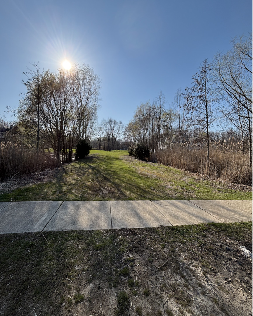 6540 Bentley Avenue Willowbrook, IL 60527 - Photo 5 of 8 a view of a yard with a house
