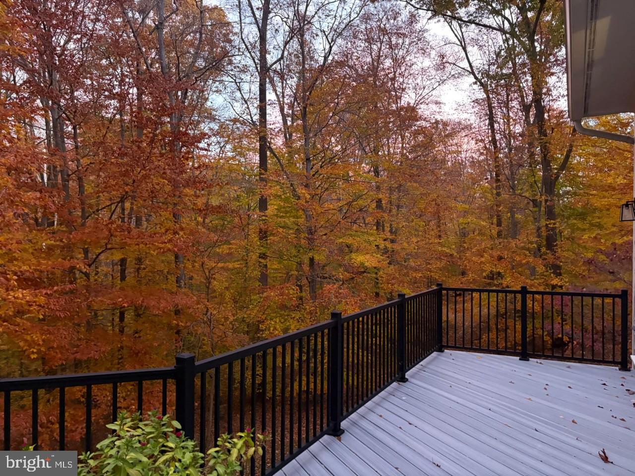 18429 Woodburn Road Leesburg, VA 20175 - Photo 75 of 82 The view in the Fall is stunning