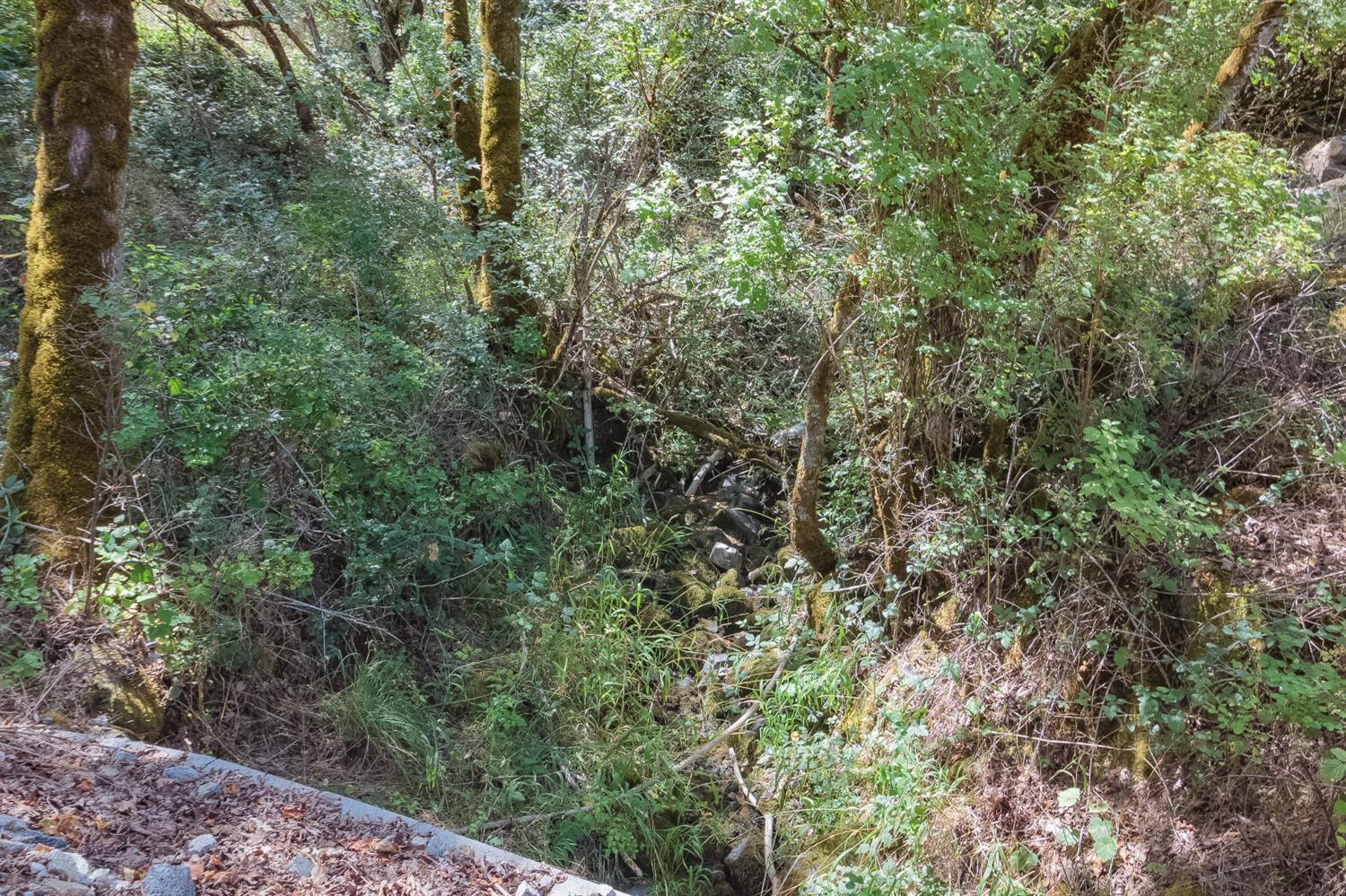 3599 Kane Creek Road Central Point, OR 97502 - Photo 10 of 20 Additional Photo
