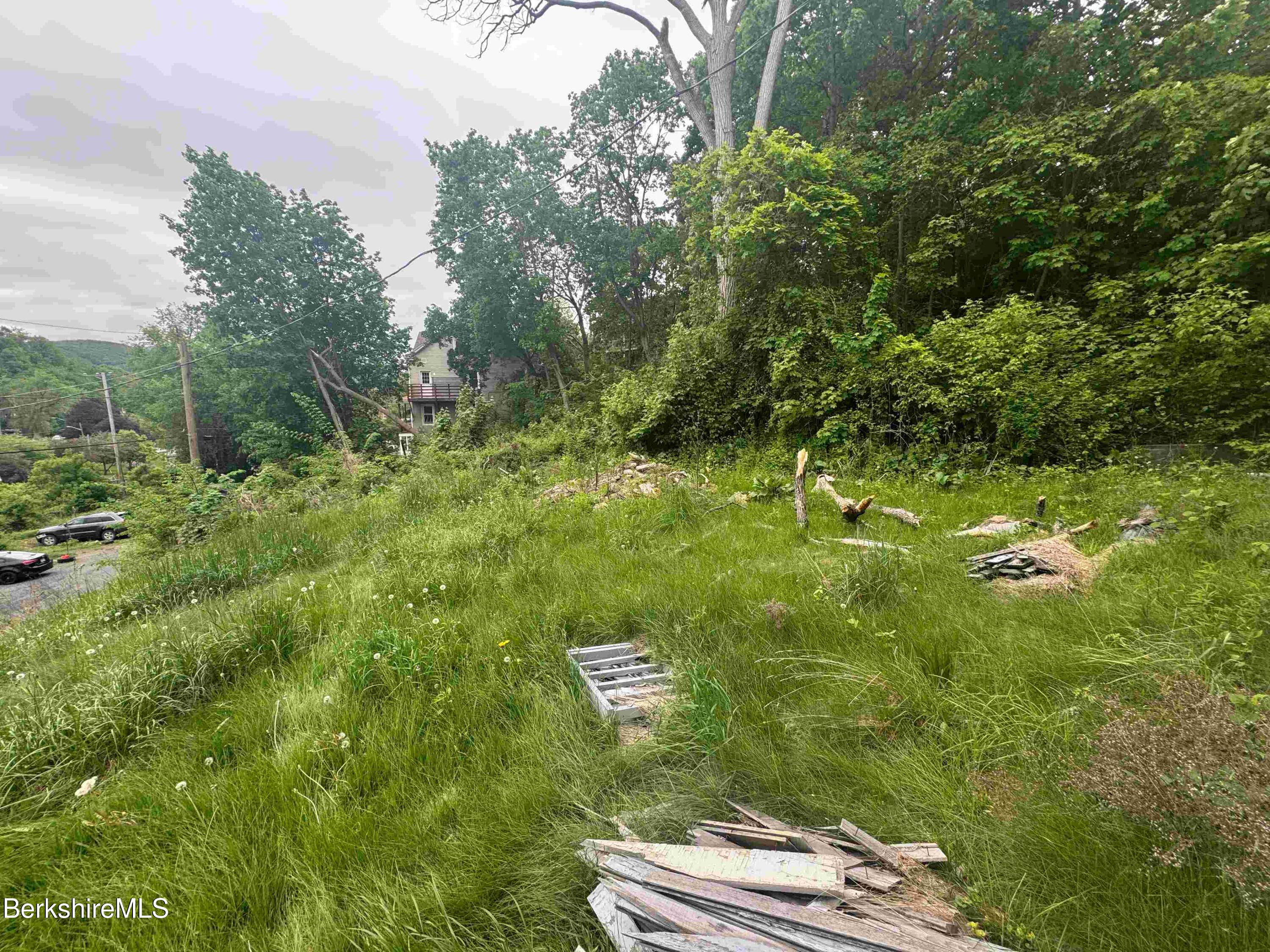 77 Front Street North Adams, MA 01247 - Photo 4 of 16 a view of yard with green space