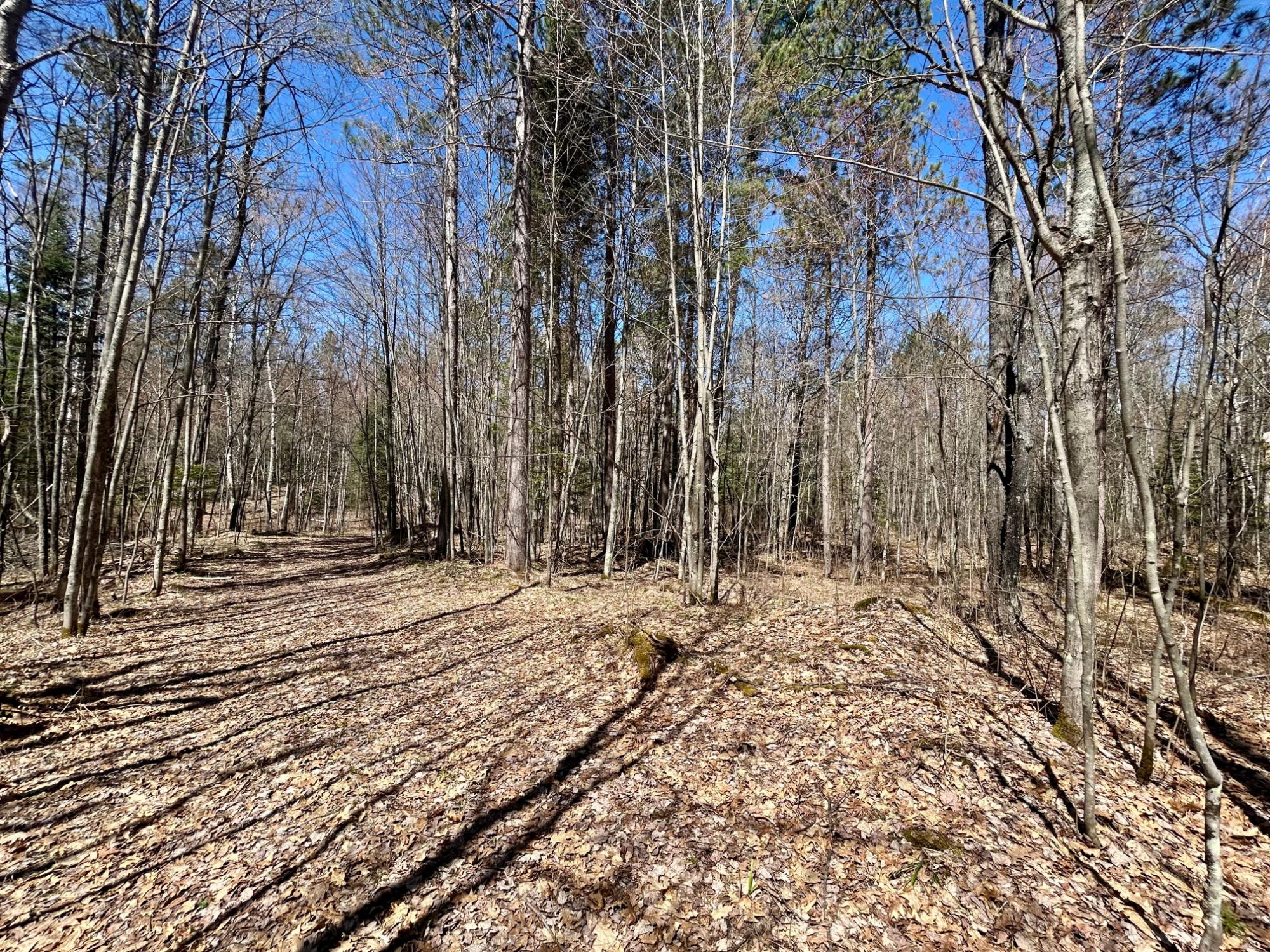 80-ac Off Razorback Road Conover, WI 54519 - Photo 12 of 19