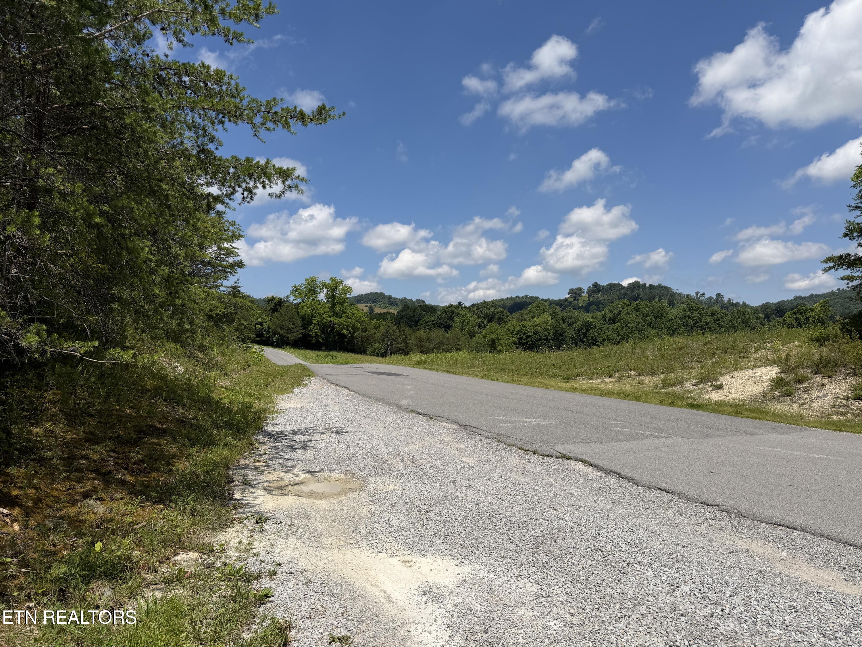 0 Mountain Shores Road New Tazewell, TN 37825 - Photo 2 of 8 IMG_2998 2