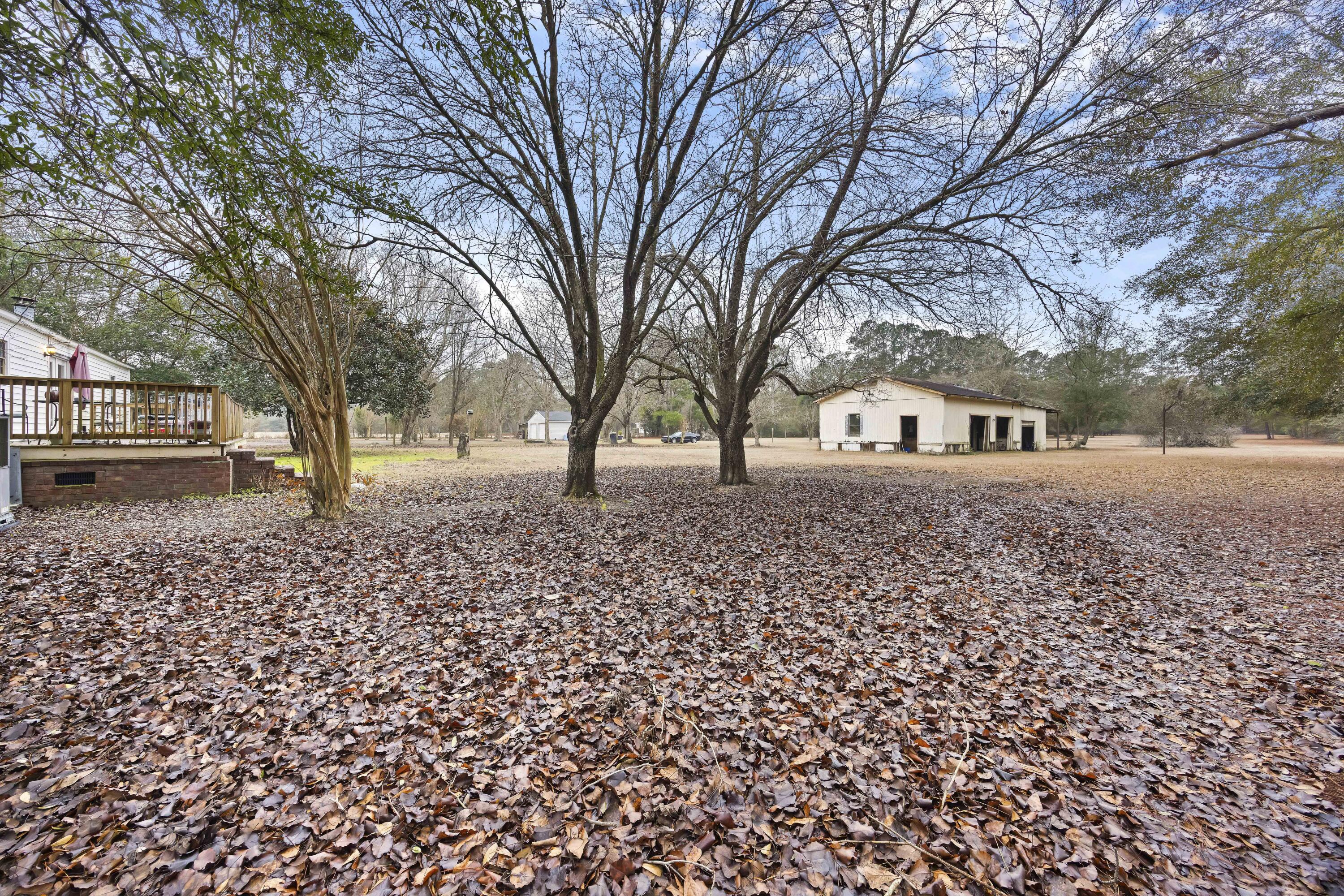5159 Red Oak Road Cottageville, SC 29435 - Photo 36 of 56 243A7777