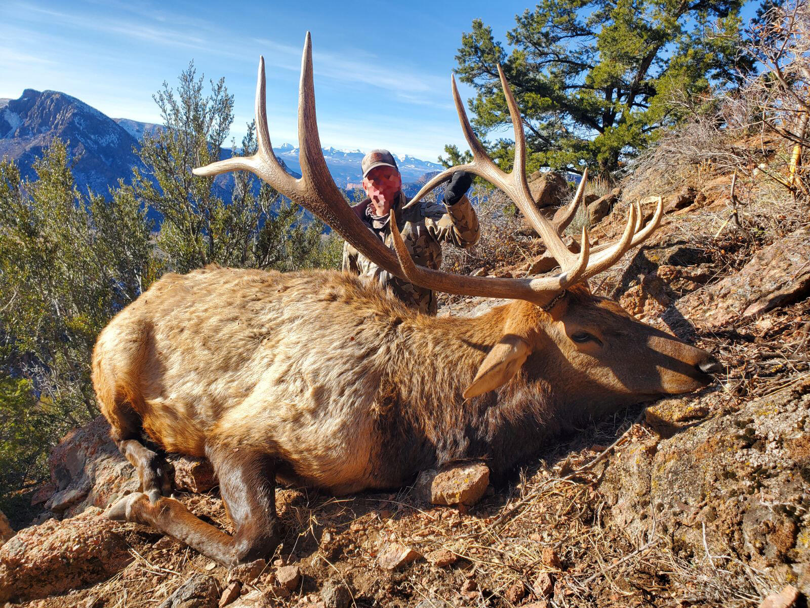 Tbd Tbd Ms Road Road Glade Park, CO 81523 - Photo 12 of 20 Camel_Point_BigGame___01