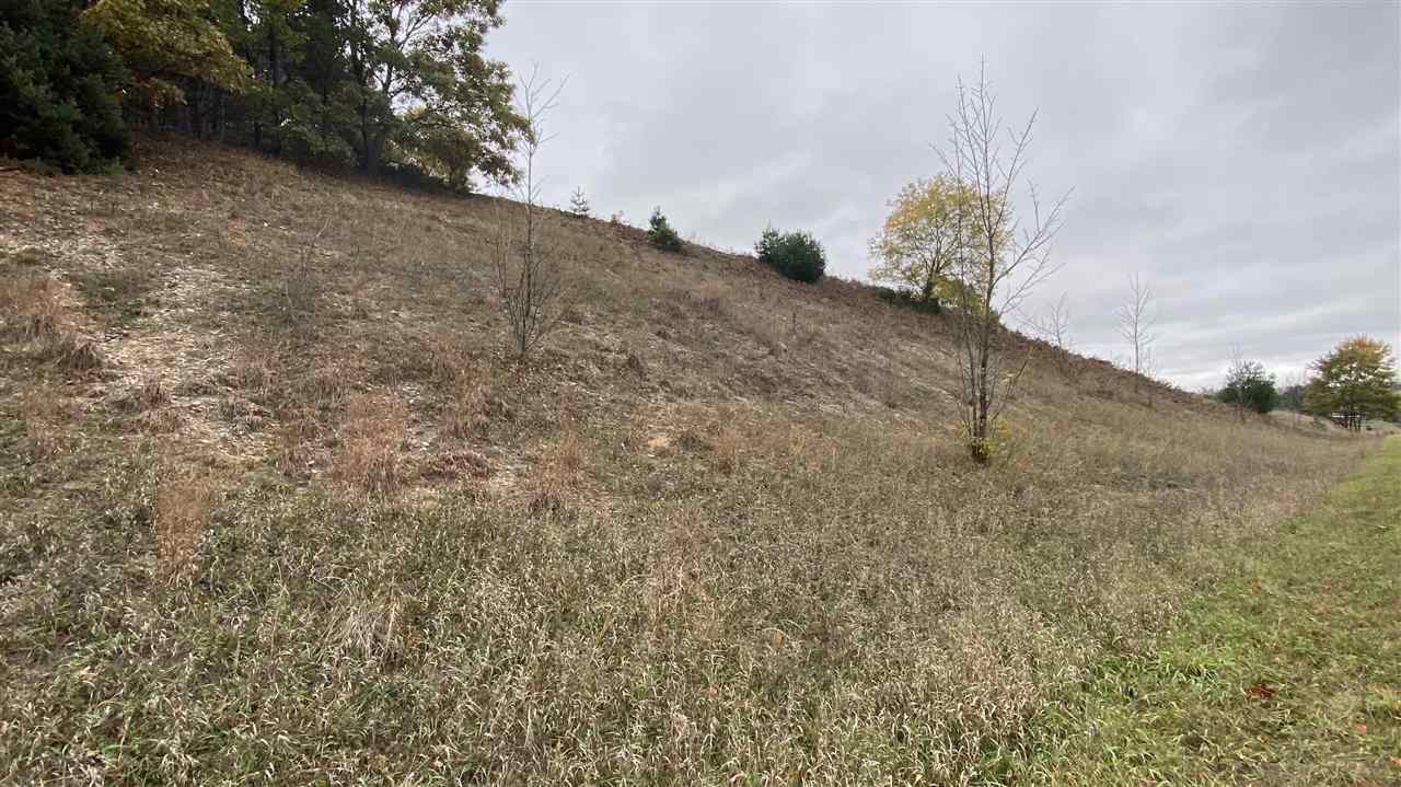 11-acres Milarch Road Onekama, MI 49675 - Photo 2 of 37