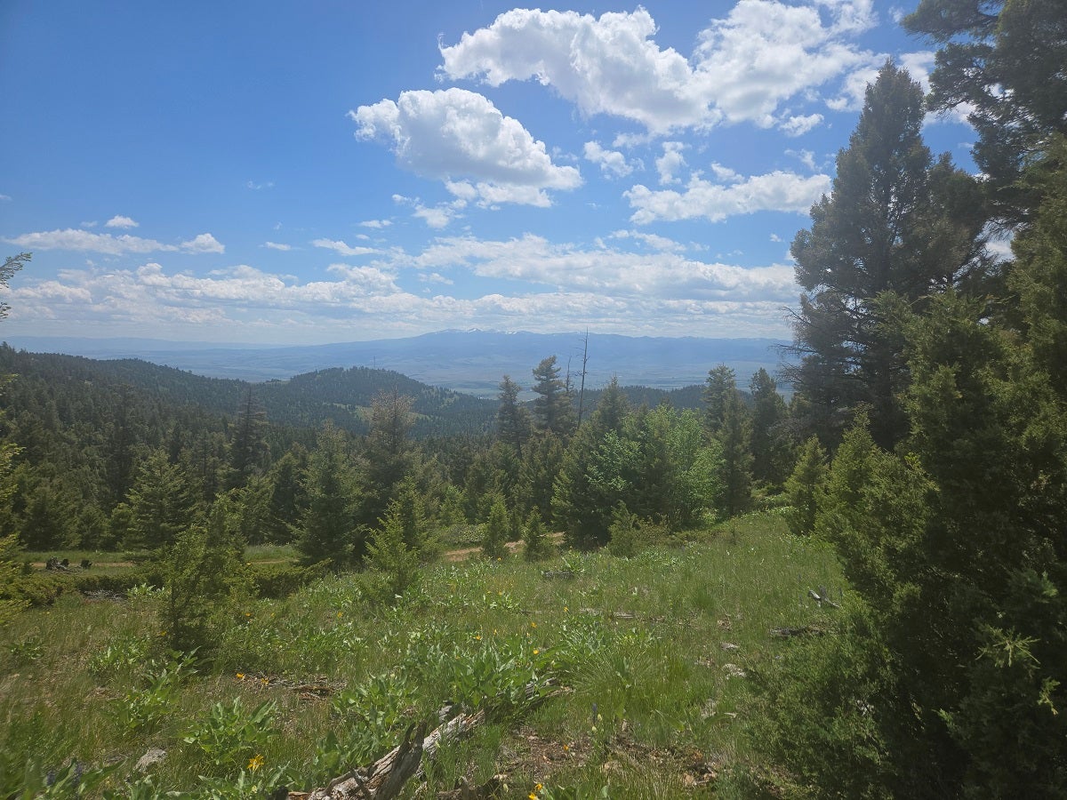 2 Big Sky Ridge Road Drummond, MT 59832 - Photo 5 of 24 Gallery Image 5