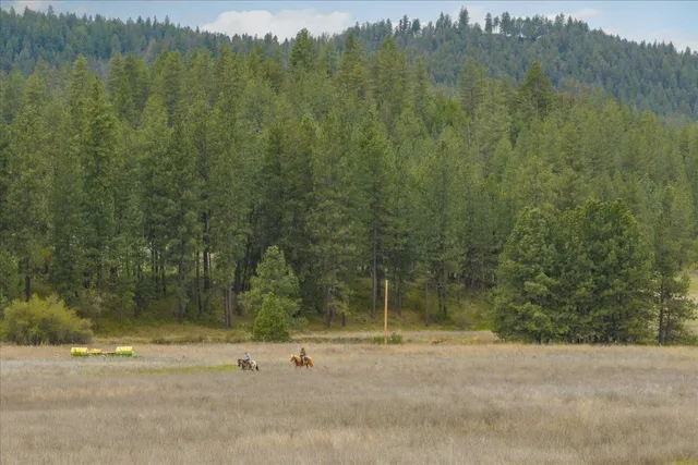 $175,000 | -xxx Fisher Road East, Unit LOT 7, Davenport, WA 99122