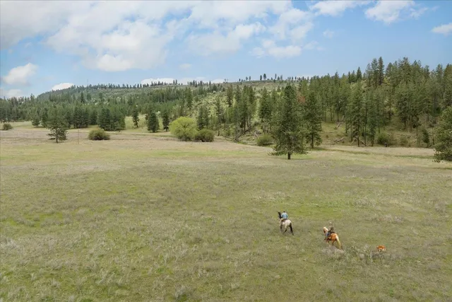 $175,000 | -xxx Fisher Road East, Unit LOT 7, Davenport, WA 99122