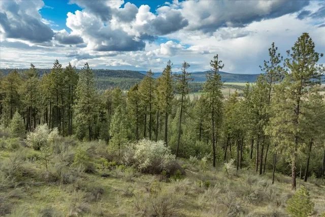 $175,000 | -xxx Fisher Road East, Unit LOT 7, Davenport, WA 99122