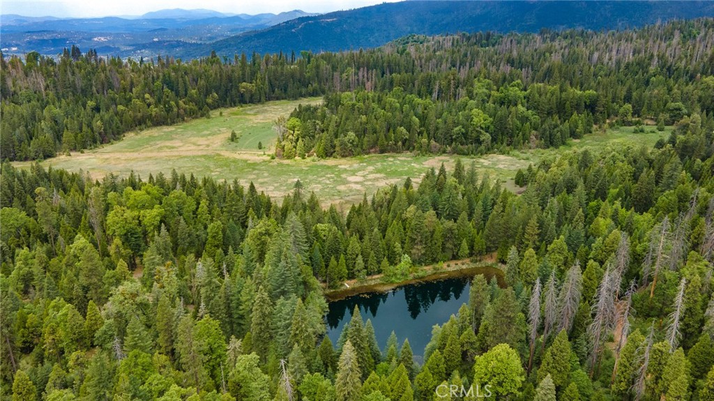 5657 Worman Road Ahwahnee, CA 93601 - Photo 1 of 40