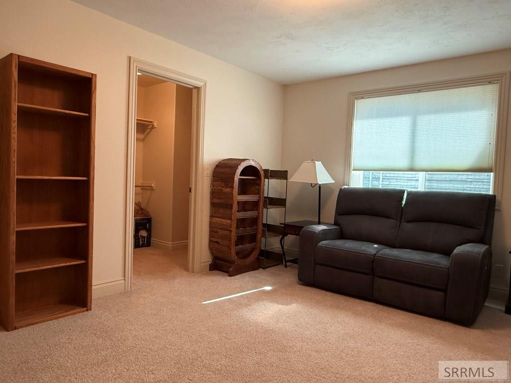 709 East 800 North Firth, ID 83236 - Photo 40 of 49
