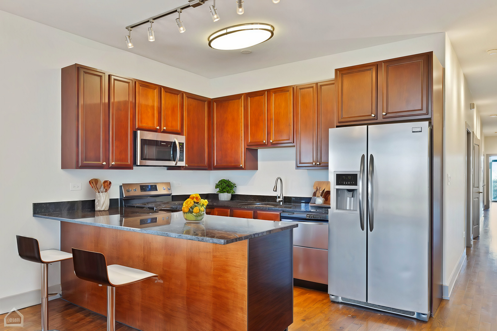 4417 South Indiana Avenue Chicago, IL 60653 - Photo 32 of 56