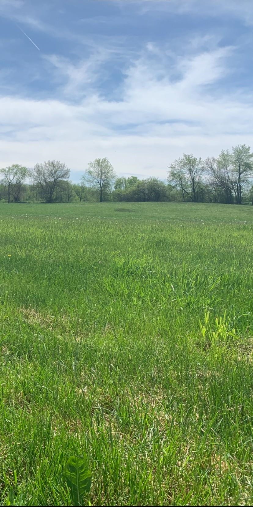 911.41 Melugins Grove Compton, IL 61318 - Photo 64 of 68