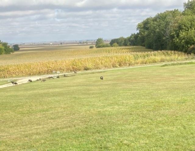 911.41 Melugins Grove Compton, IL 61318 - Photo 65 of 68