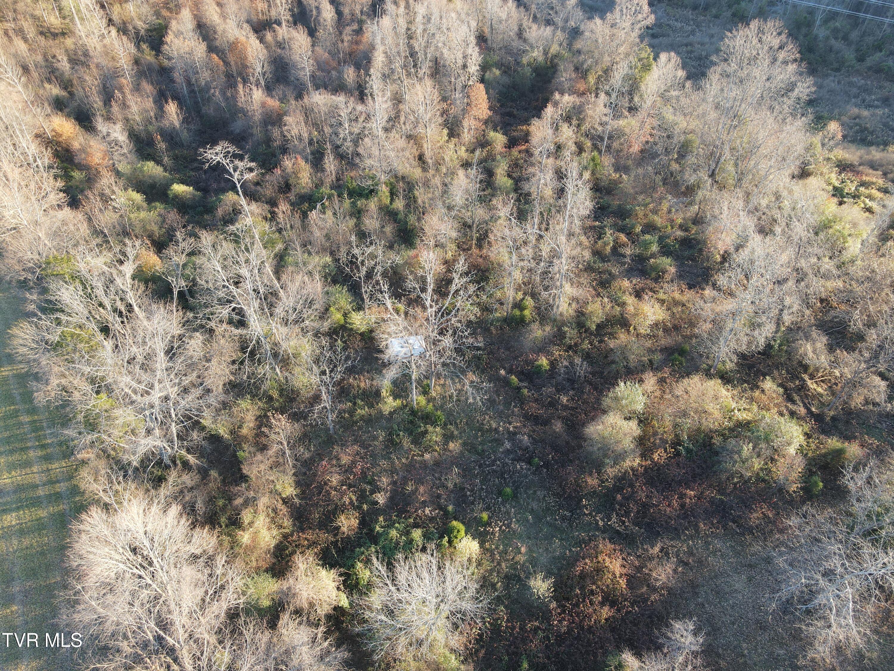 Tbd Tbd Sulphur Springs Road Pennington Gap, VA 24277 - Photo 12 of 39 DJI_0297