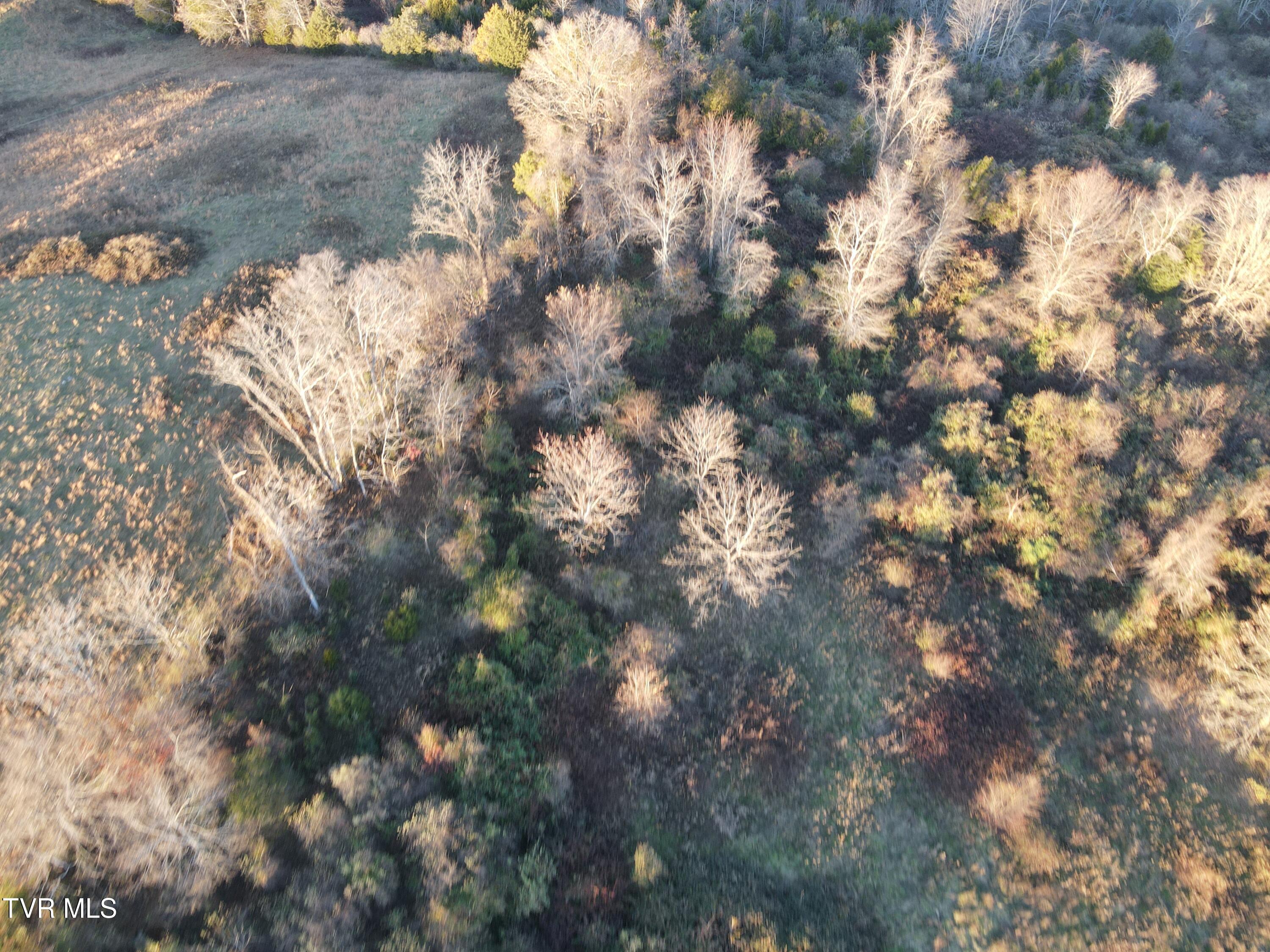 Tbd Tbd Sulphur Springs Road Pennington Gap, VA 24277 - Photo 16 of 39 DJI_0317
