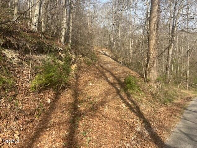 Tbd Tbd Sulphur Springs Road Pennington Gap, VA 24277 - Photo 2 of 39 6