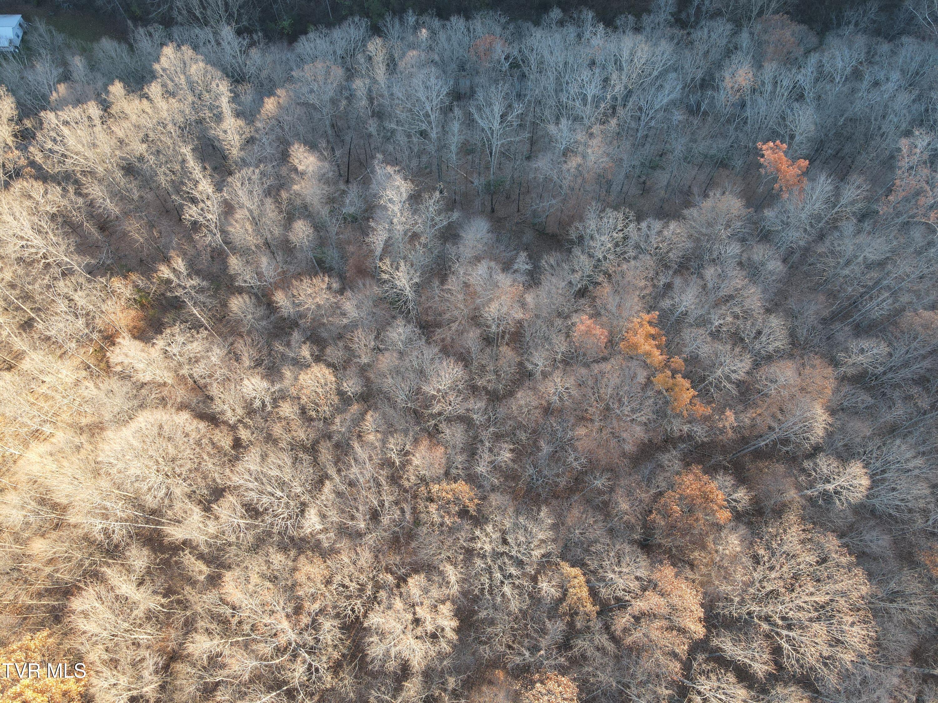 Tbd Tbd Sulphur Springs Road Pennington Gap, VA 24277 - Photo 25 of 39 DJI_0311