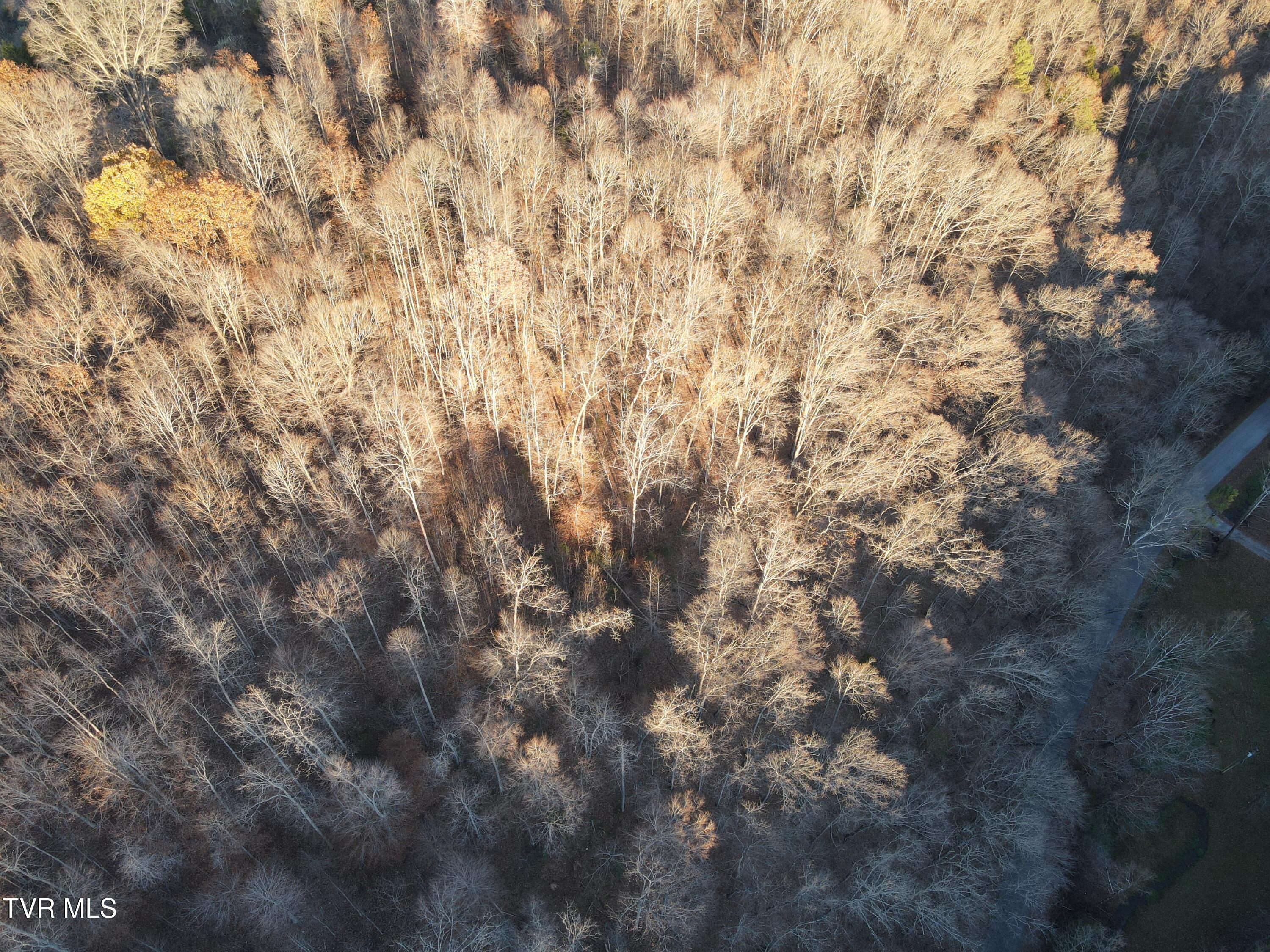 Tbd Tbd Sulphur Springs Road Pennington Gap, VA 24277 - Photo 27 of 39 DJI_0313