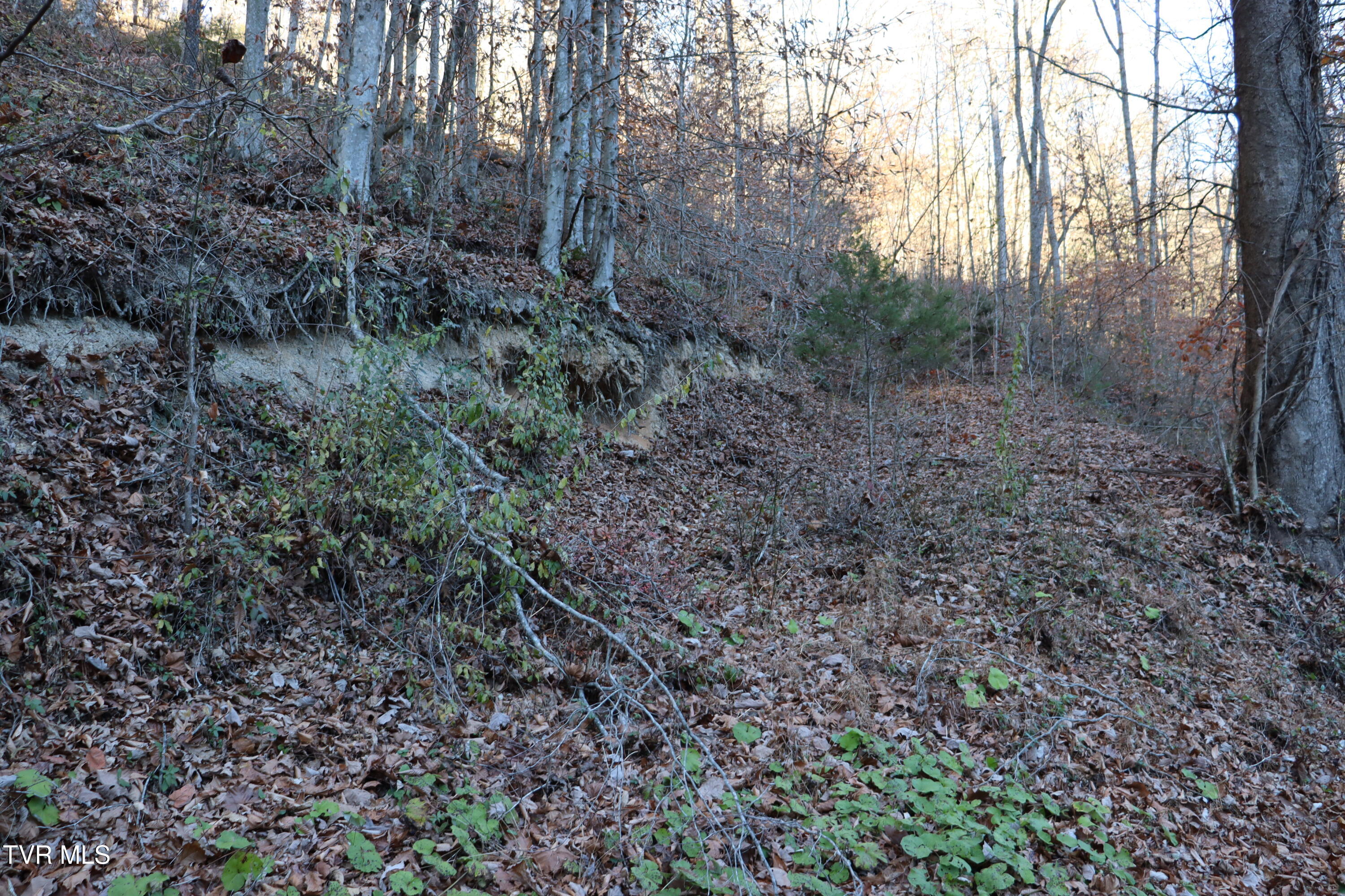 Tbd Tbd Sulphur Springs Road Pennington Gap, VA 24277 - Photo 29 of 33 IMG_0553