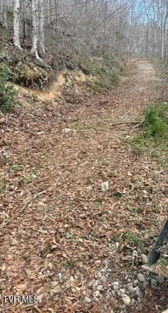 $94,900 | Tbd Tbd Sulphur Springs Road, Pennington Gap, VA 24277