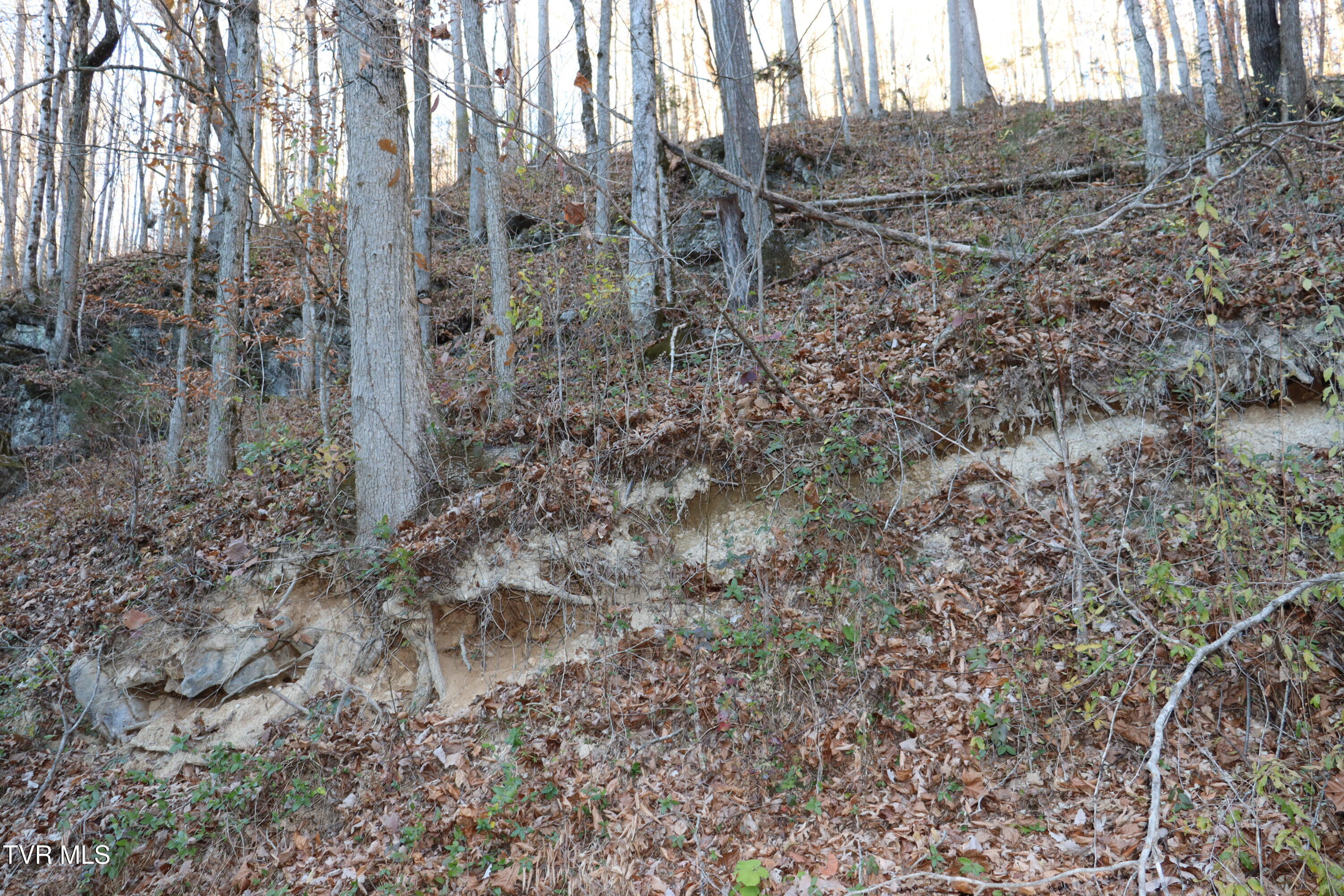 Tbd Tbd Sulphur Springs Road Pennington Gap, VA 24277 - Photo 31 of 33 IMG_0555