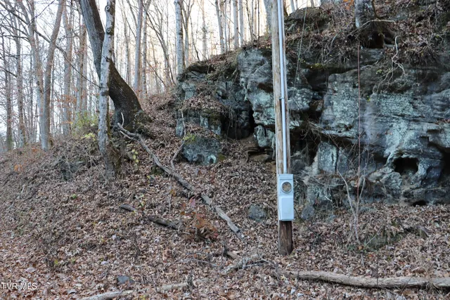 $115,000 | Tbd Tbd Sulphur Springs Road, Pennington Gap, VA 24277