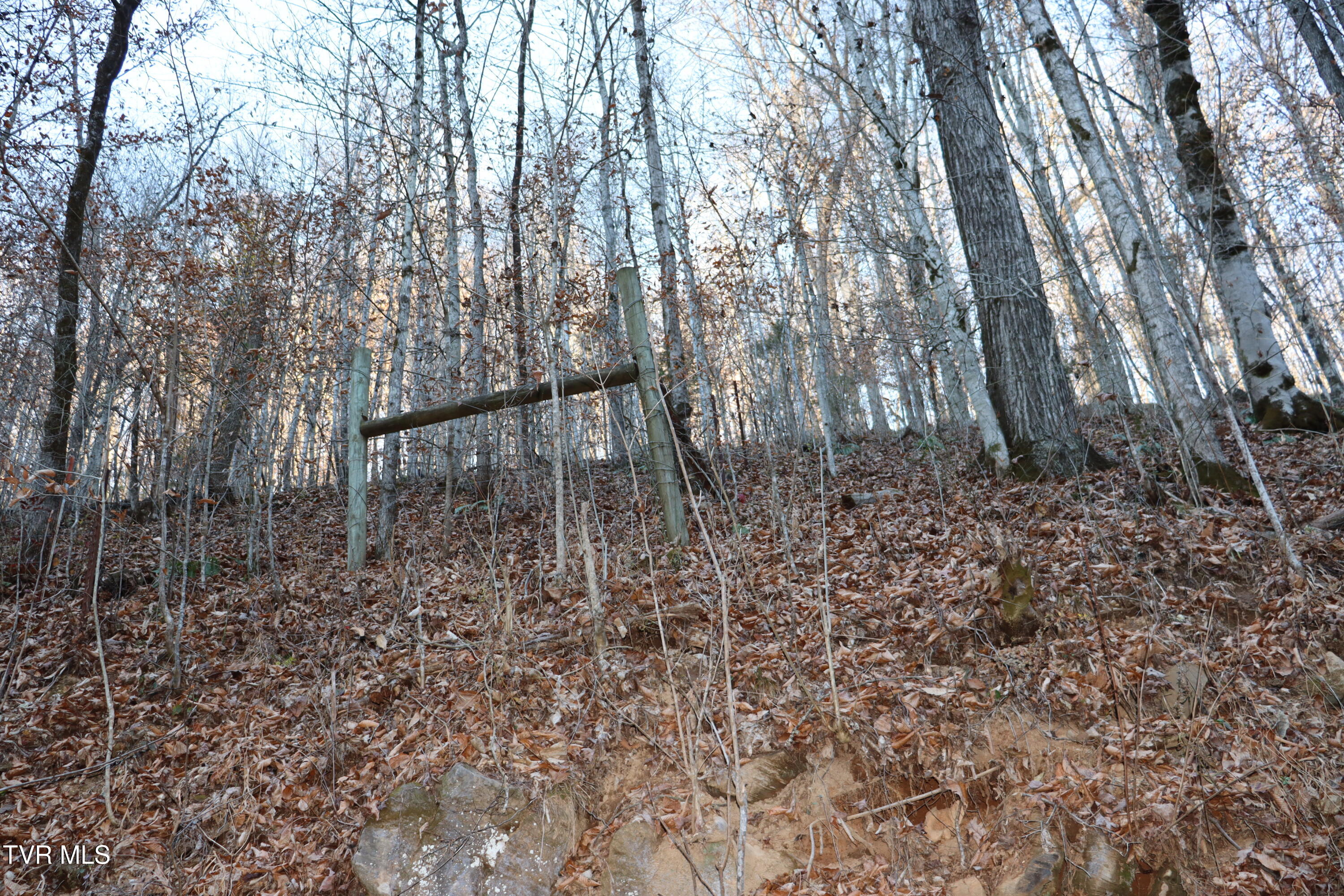 Tbd Tbd Sulphur Springs Road Pennington Gap, VA 24277 - Photo 33 of 39 IMG_0558