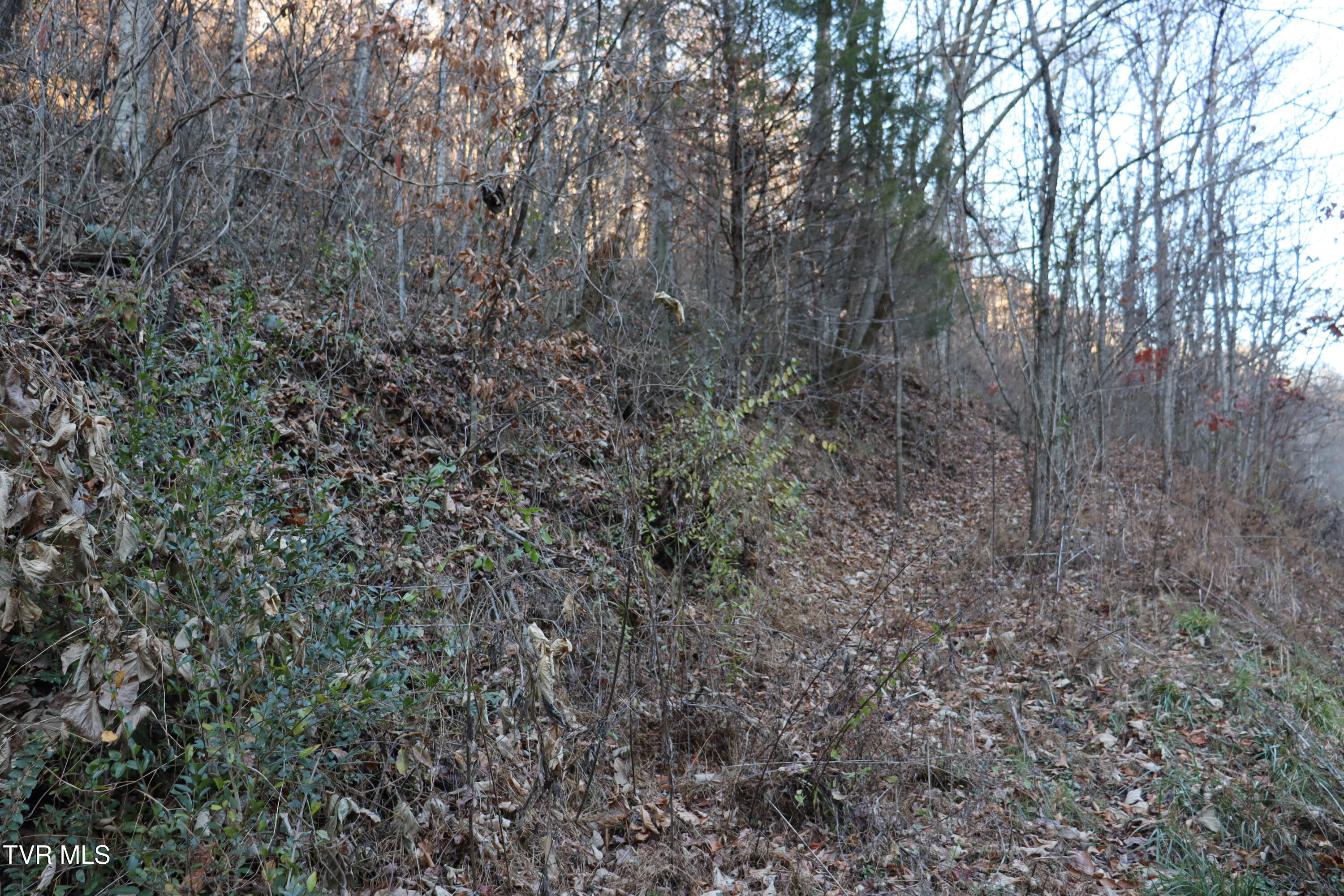 Tbd Tbd Sulphur Springs Road Pennington Gap, VA 24277 - Photo 34 of 39 IMG_0559