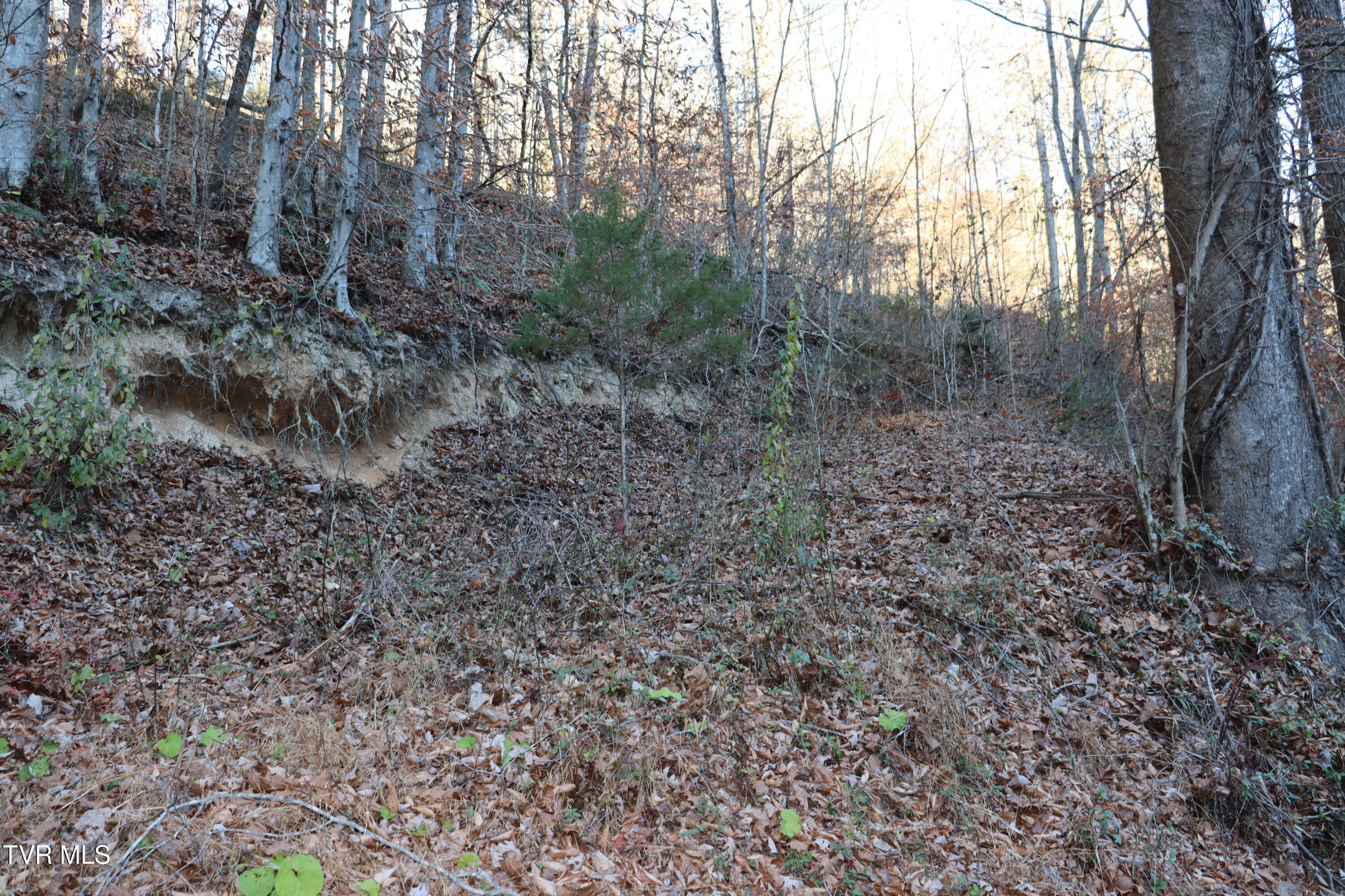 Tbd Tbd Sulphur Springs Road Pennington Gap, VA 24277 - Photo 36 of 39 IMG_0554