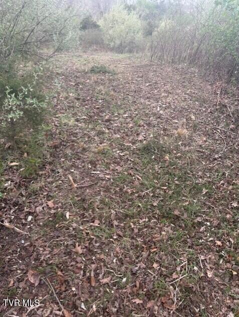 Tbd Tbd Sulphur Springs Road Pennington Gap, VA 24277 - Photo 4 of 39 2