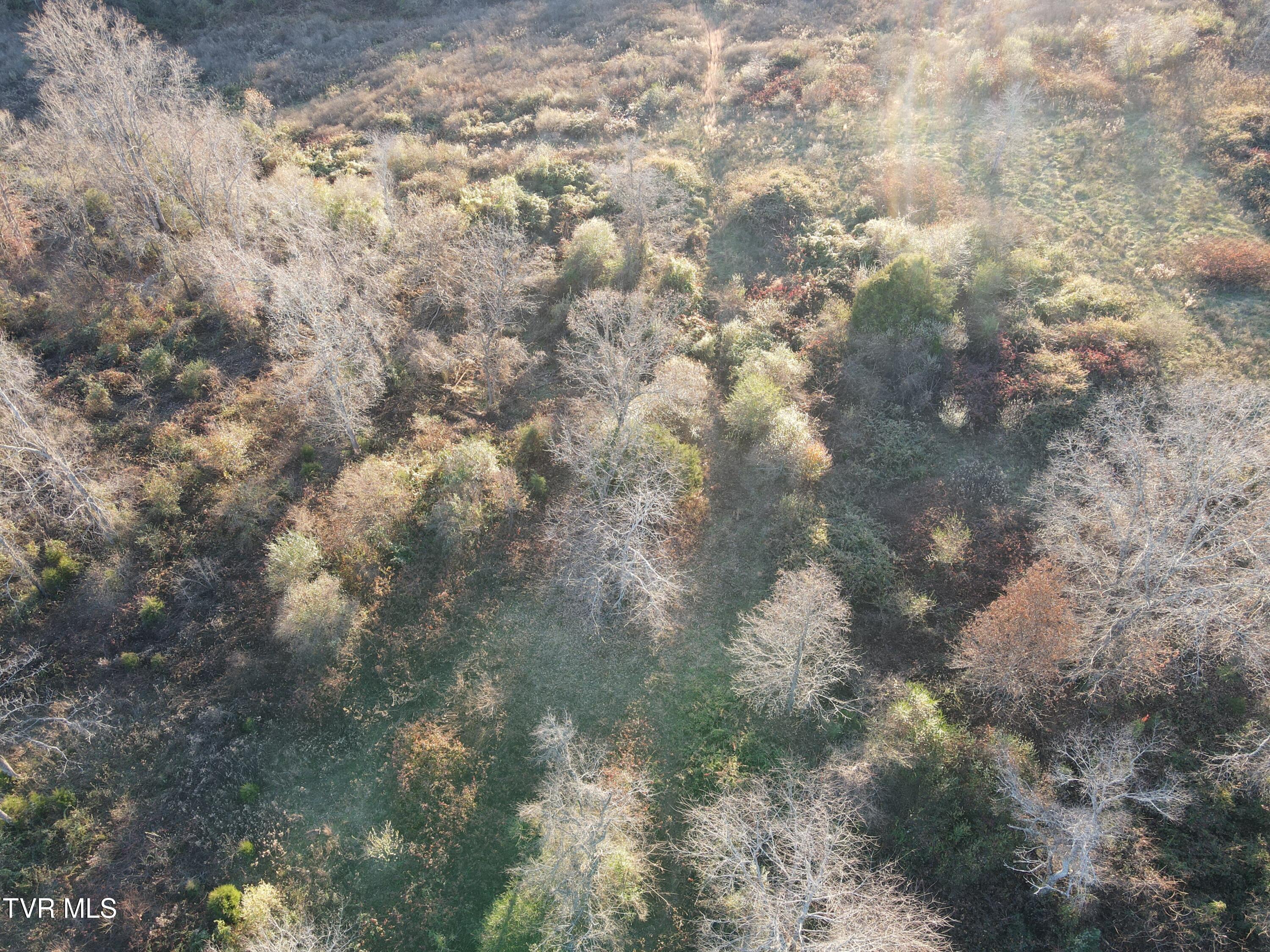 Tbd Tbd Sulphur Springs Road Pennington Gap, VA 24277 - Photo 4 of 33 DJI_0298