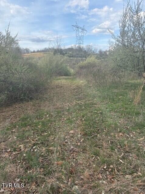 Tbd Tbd Sulphur Springs Road Pennington Gap, VA 24277 - Photo 5 of 39 4
