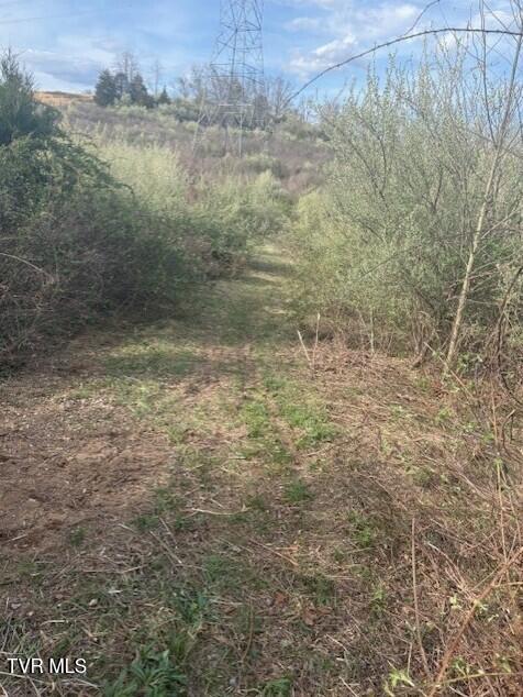 Tbd Tbd Sulphur Springs Road Pennington Gap, VA 24277 - Photo 6 of 39 5