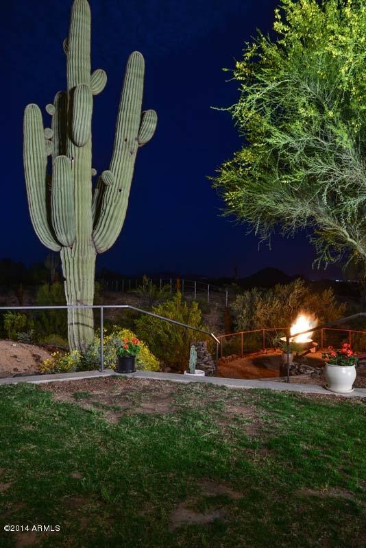12801 East Doubletree Ranch Road Scottsdale, AZ 85259 - Photo 66 of 70 Night-Cactus
